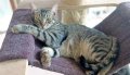 23 08 21 Willy-WA0029