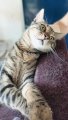 23 08 21 Willy-WA0027