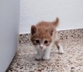 a_113711746355462